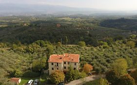 La Casa Viola
